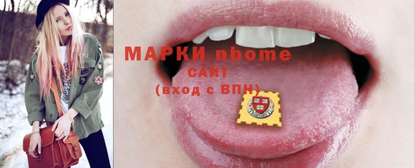 гашик Инсар
