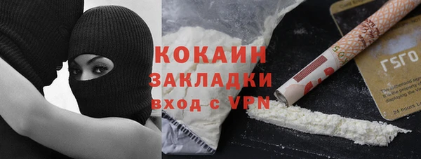 гашик Инсар