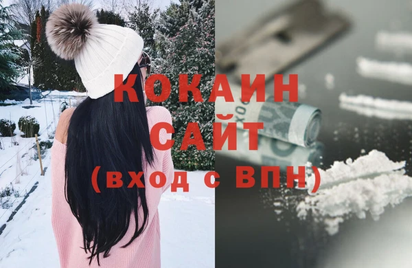 гашик Инсар