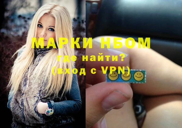 гашик Инсар