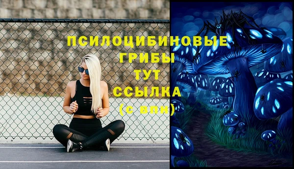 гашик Инсар
