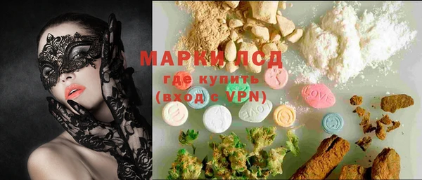 гашик Инсар