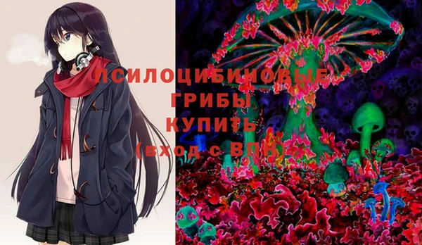 Альфа ПВП Инта