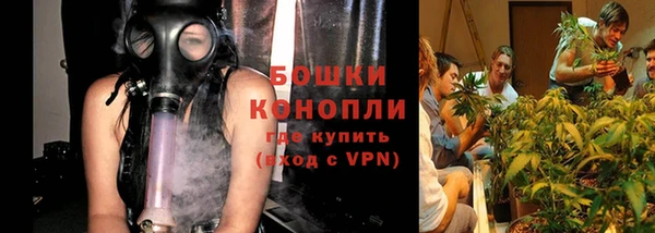 гашик Инсар