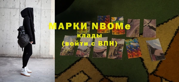 Альфа ПВП Инта