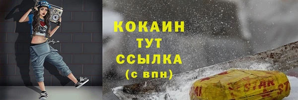Альфа ПВП Инта